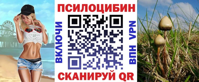 Псилоцибиновые грибы GOLDEN TEACHER  нарко площадка Telegram  Саров 