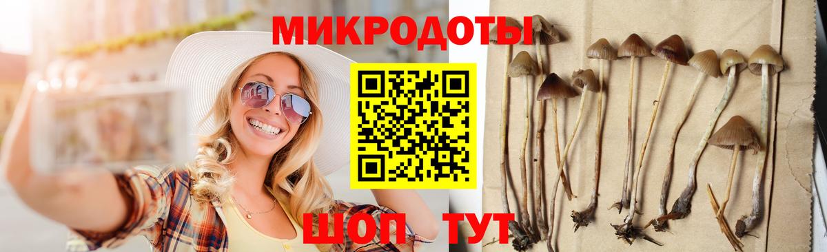 Псилоцибиновые грибы Psilocybine cubensis Саров